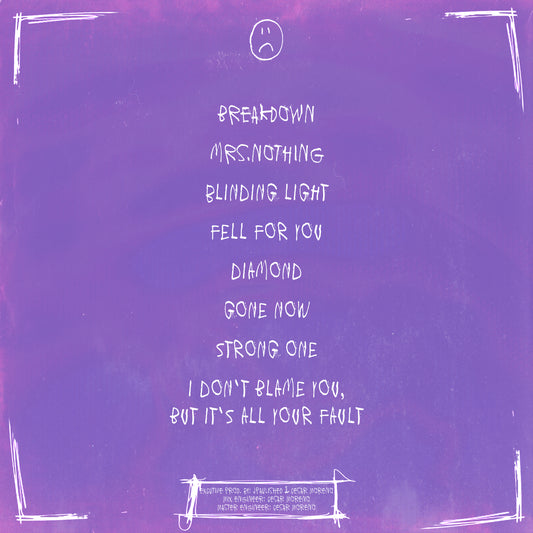 I Don't Blame You... Tracklist Sticker (Limited Silver) *NEW*