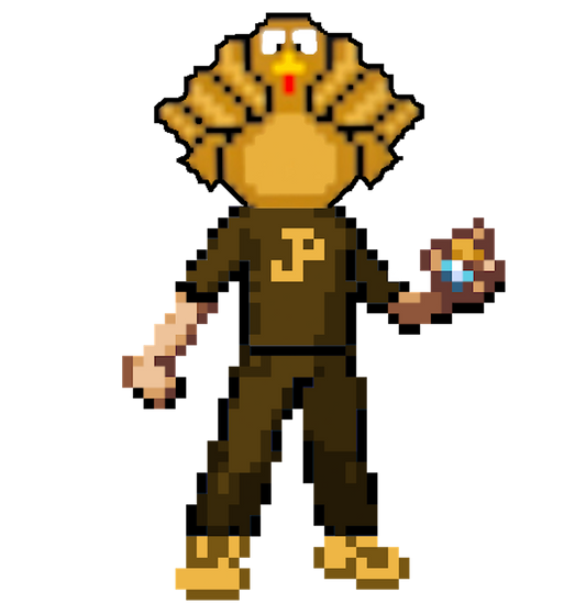 Turkey-Paulished Brown Shirt Sticker *NEW*